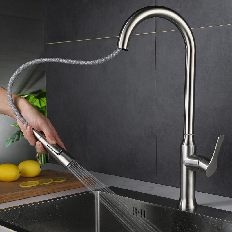 Homelody Luxuriös 360 ° Drehung Wasserhahn Küche ausziehbar Küchenarmatur mit Brause Edelstahl Mischbatterie Küche Matt